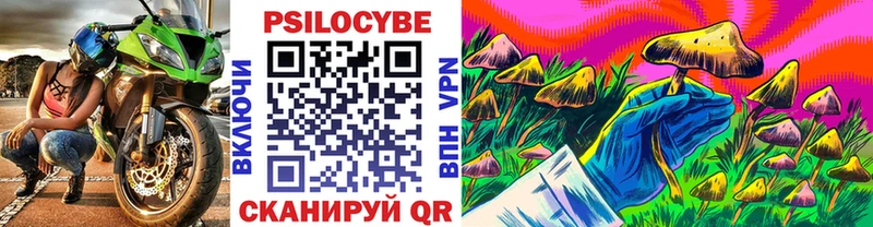 Псилоцибиновые грибы ЛСД  купить наркоту  Белово 